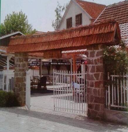 Privatni Smestaj Nanica Mataruska Banja Rum bild